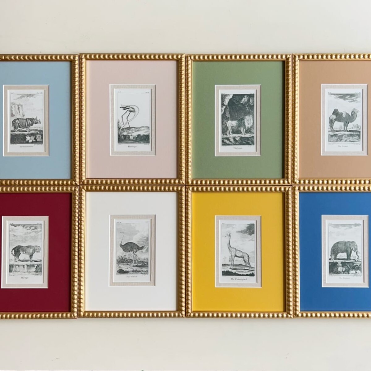 Meet The Maker: Petri Prints